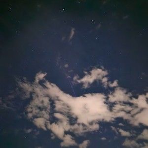 Meet your Posher, Dakota